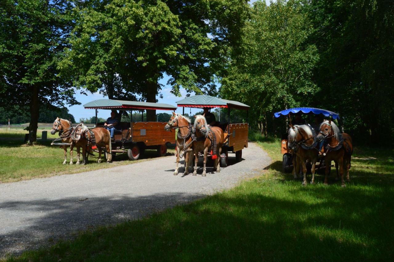 Ferienhaus Am Park Villa Lobnitz  Dış mekan fotoğraf